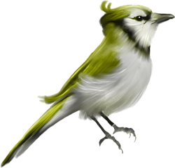 зеленая птичка